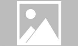 天堂在线视频,揭秘虚拟世界的奇幻之旅